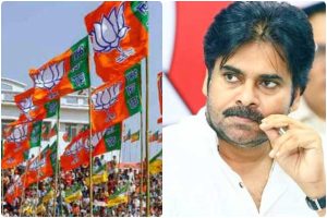 pawan