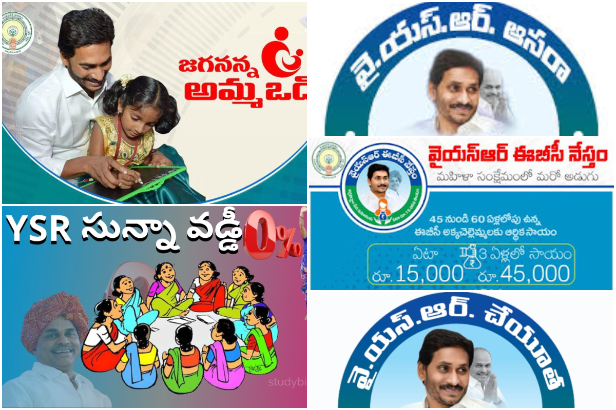 ycp
