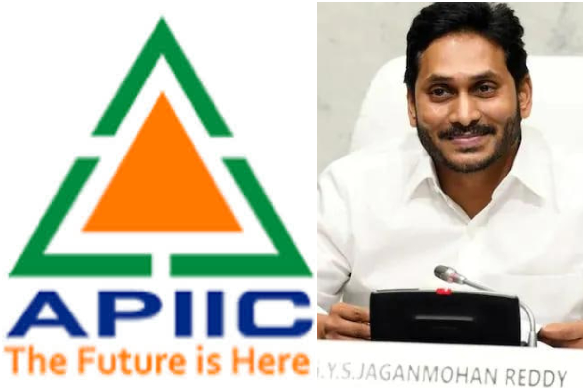 Andhra Pradesh Industrial Infrastructure Corporation