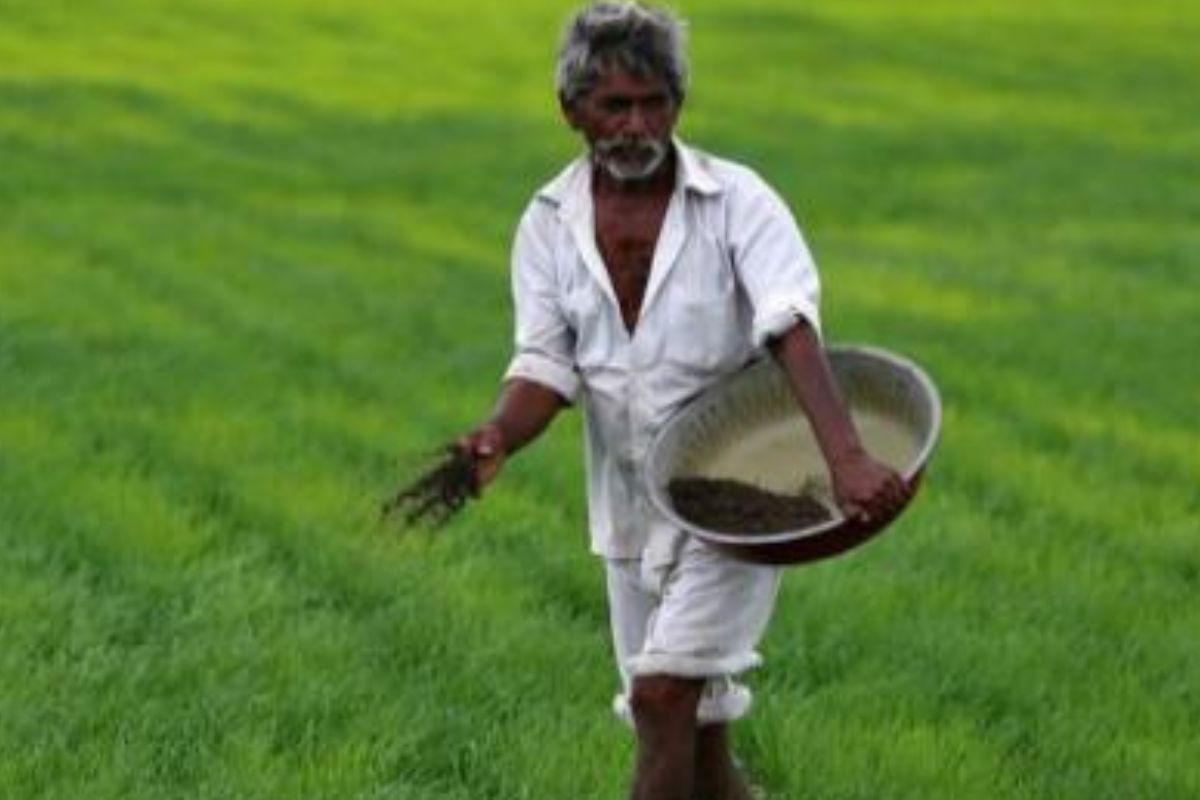 AP Agriculture sector