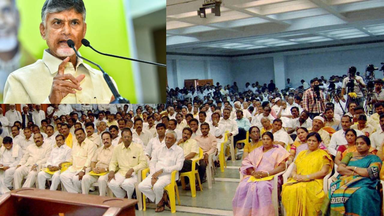 tdp chief chandrababu naidu