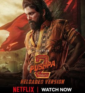 pushpa2- Netflix
