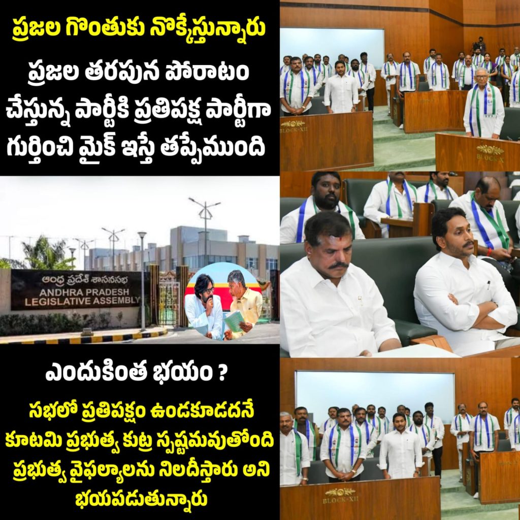 WhatsApp Image 2025-02-24 at 1.44.33 PM